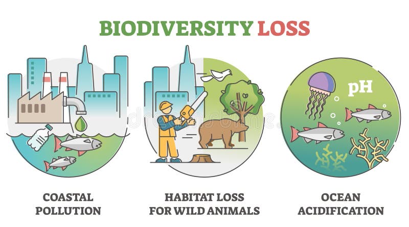 Biodiversity loss issues and causes as climate wildlife problem outline set