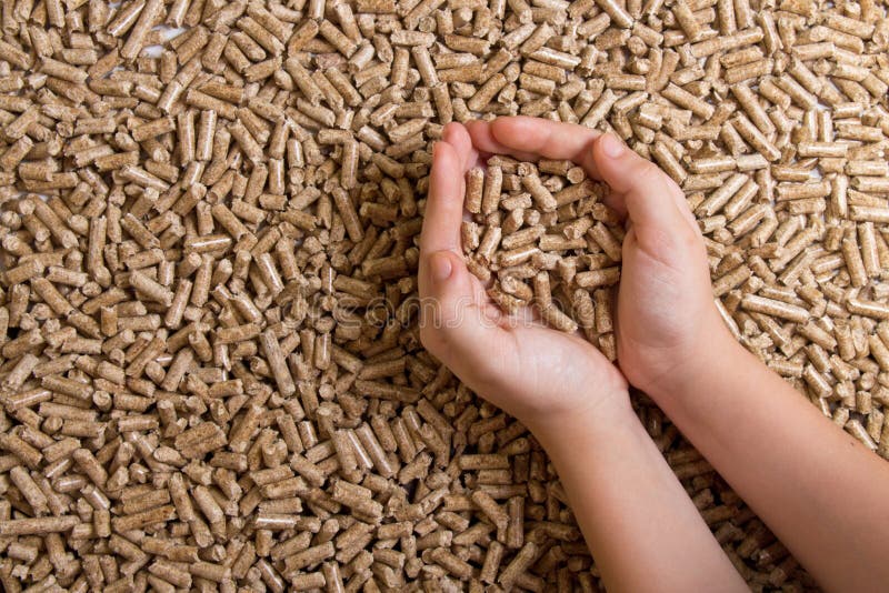 Biofuels. Alternative biofuel from sawdust , wood pellets in han