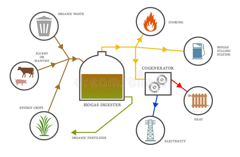 Biogas diagram stock vector. Illustration of waste, infographic 36146824