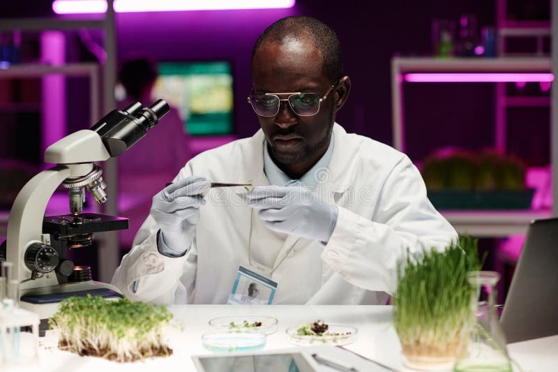 Biologe analysieren pflanzliche Probe am Arbeitsplatz lizenzfreies stockbild