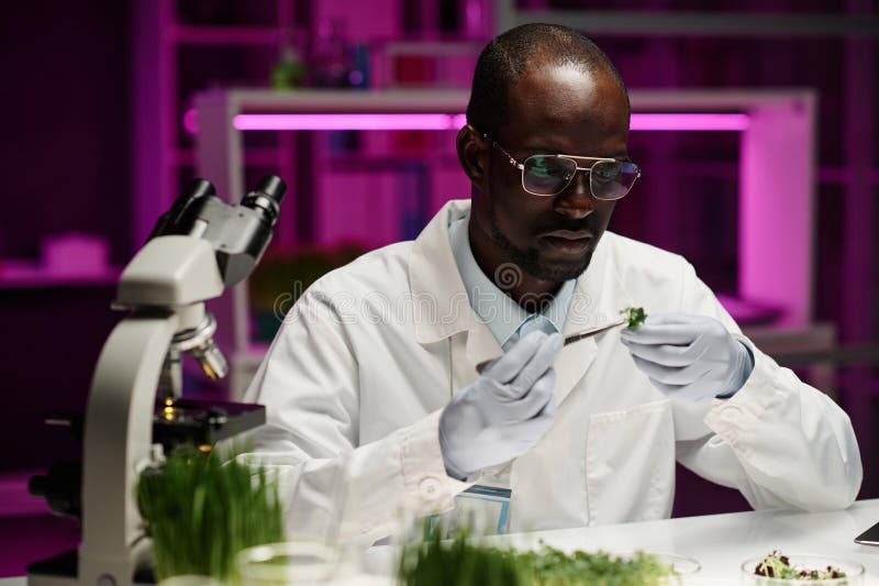 Biologe, die sich die pflanzliche Probe genau anschauen stockbilder