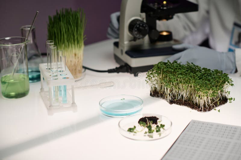 Biologe stockbilder