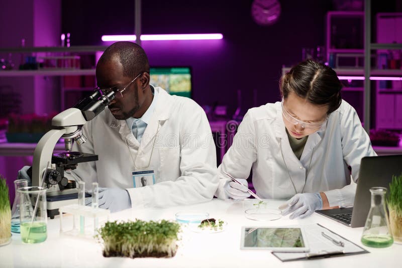 Biologen, die im Labor zusammenarbeiten stockbild