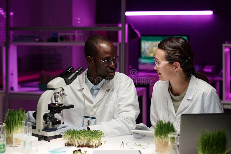 Biologen sprechen über ihr wissenschaftliches Projekt stockbilder