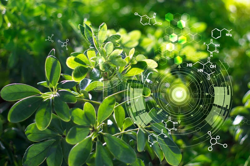 Biologia di laboratorio natura e scienza, piante con struttura biochimica su fondo verde