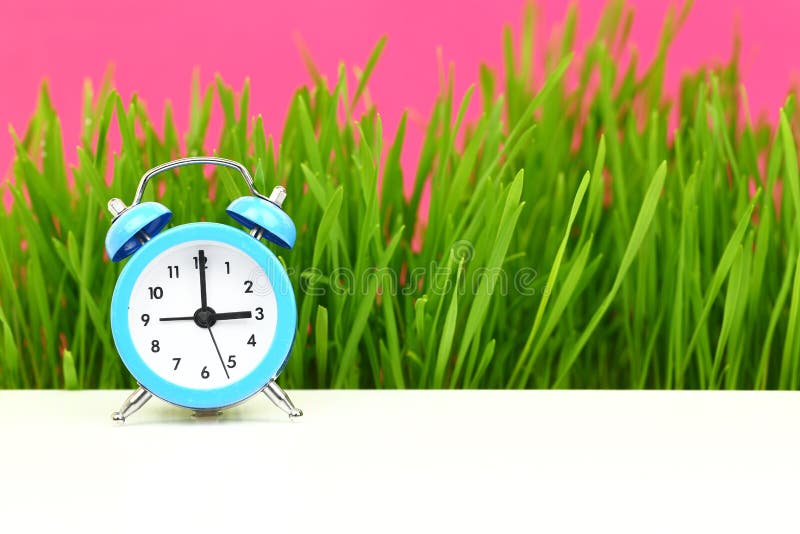 Biological clock concept, with grass and pink background. Biological clock stock images, royalty-free photos and pictures