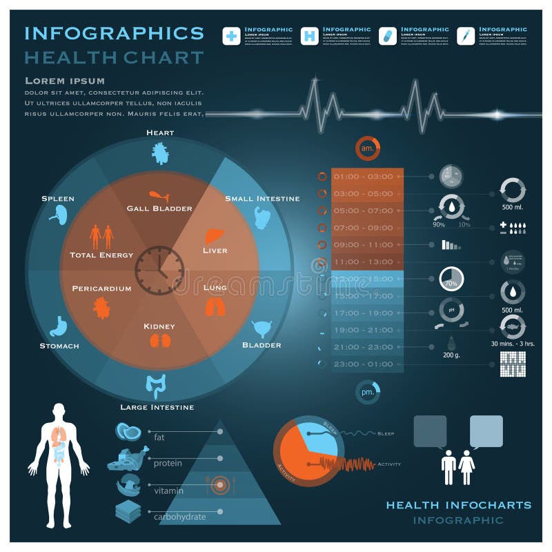 Biological Clock Health And Medical Infographic Infocharts