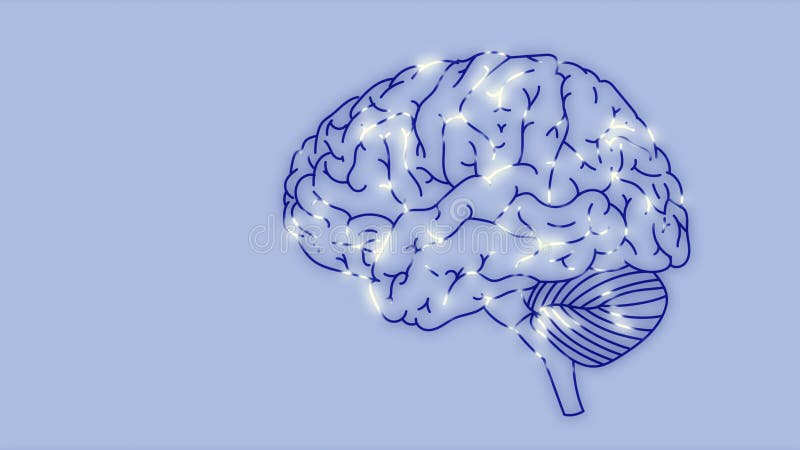 Neural activity network in the brain stock illustration