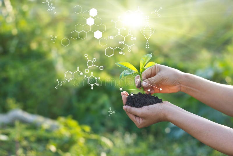 Biologiczna przyroda i nauka, rośliny o strukturze biochemicznej na tle zielonym fotografia stock