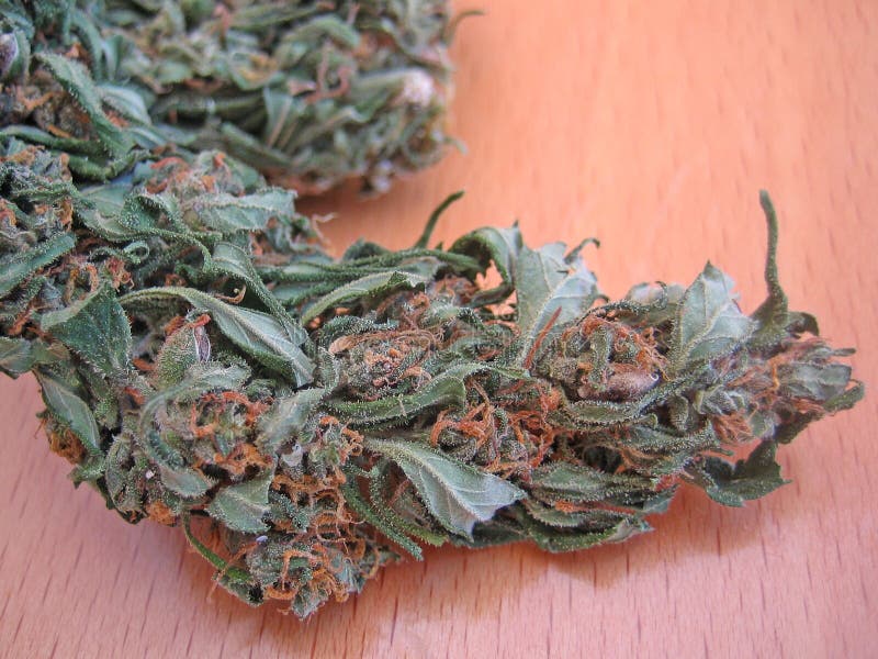 Biologisches Zuhause Cannabis Knospe Beton medizinische Marihuana nah Vintage alten schießen lizenzfreie stockfotografie Biologisches Zuhause Cannabis Knospe Beton medizinische Marihuana nah Vintage alten schießen lizenzfreie stockfotografie