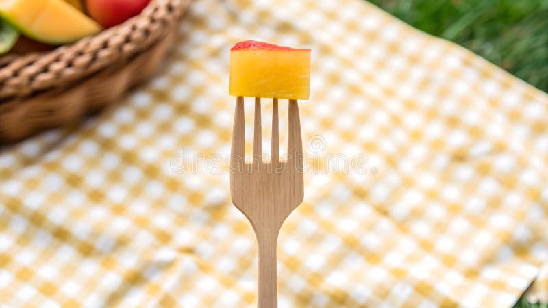 Biologiskt nedbrytbart Förpackning Biologiskt nedbrytbart gaffel med frukt på en miljövänlig vibe av pikikfilt royaltyfri illustrationer