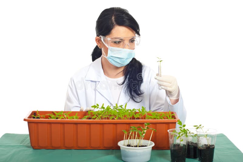 Biologist Woman Working With Plants Stock Photo Image of agronomy