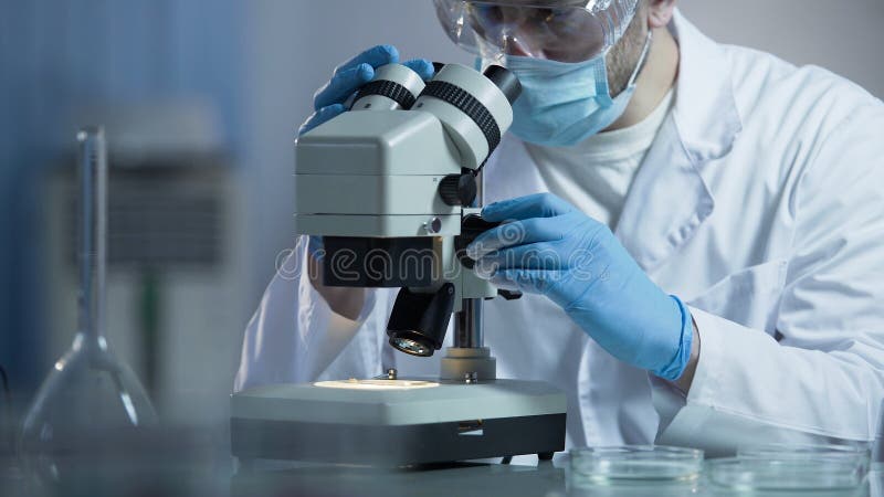 Biologiste examinant soigneusement les particules de cellules, cours de transport des investigations photos libres de droits Biologiste examinant soigneusement les particules de cellules, cours de transport des investigations photos libres de droits
