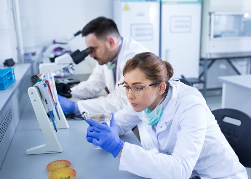 Biologists Working in Laboratory Stock Photo Image of researcher