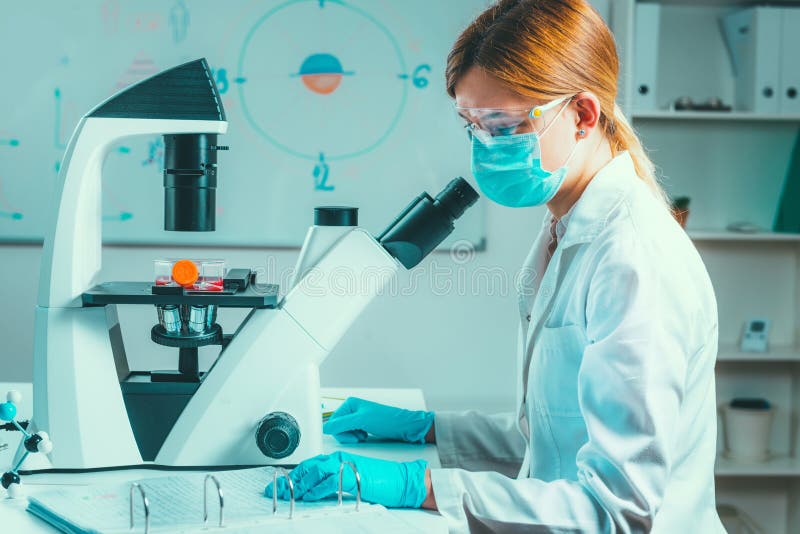 Biotechnology Researcher in Laboratory Working with Cell Culture Stock