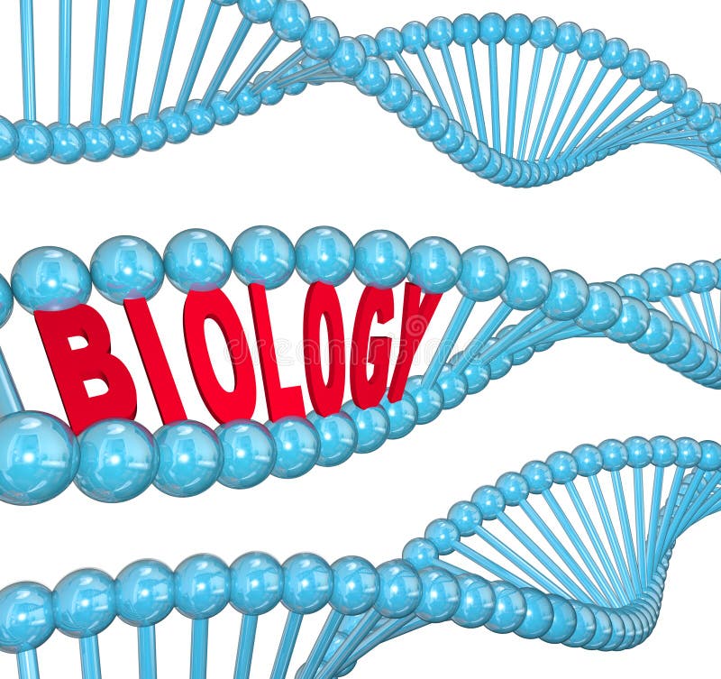 Biology Word DNA Strand Science Learning