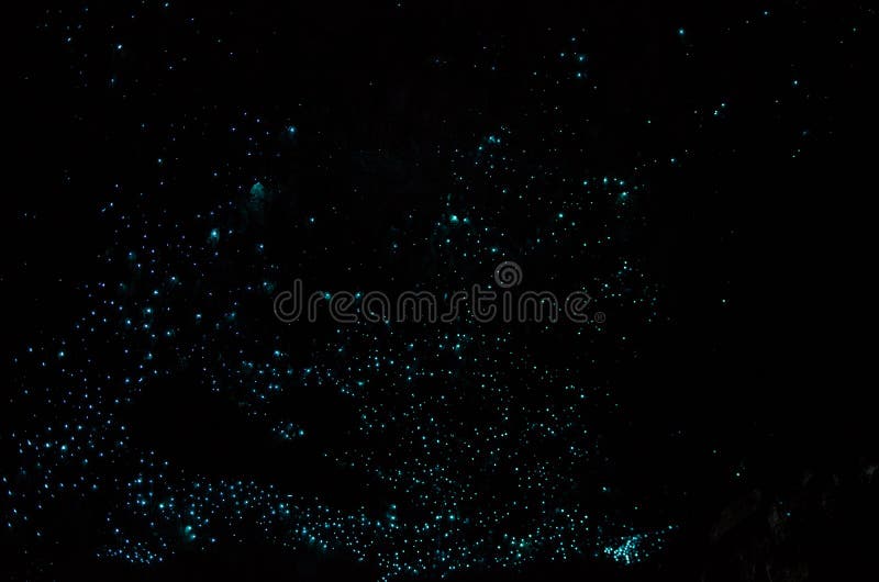 Bioluminiscent-Glühwürmchen, die in Waipu-Höhlen, Northland, Nordinsel, Neuseeland glänzen stockfotos Bioluminiscent-Glühwürmchen, die in Waipu-Höhlen, Northland, Nordinsel, Neuseeland glänzen stockfotos