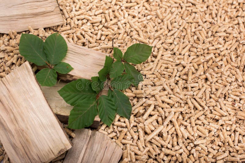 Biomasa de hojas caducas del roble - madera, pelotillas y hojas foto de archivo libre de regalías Biomasa de hojas caducas del roble - madera, pelotillas y hojas foto de archivo libre de regalías