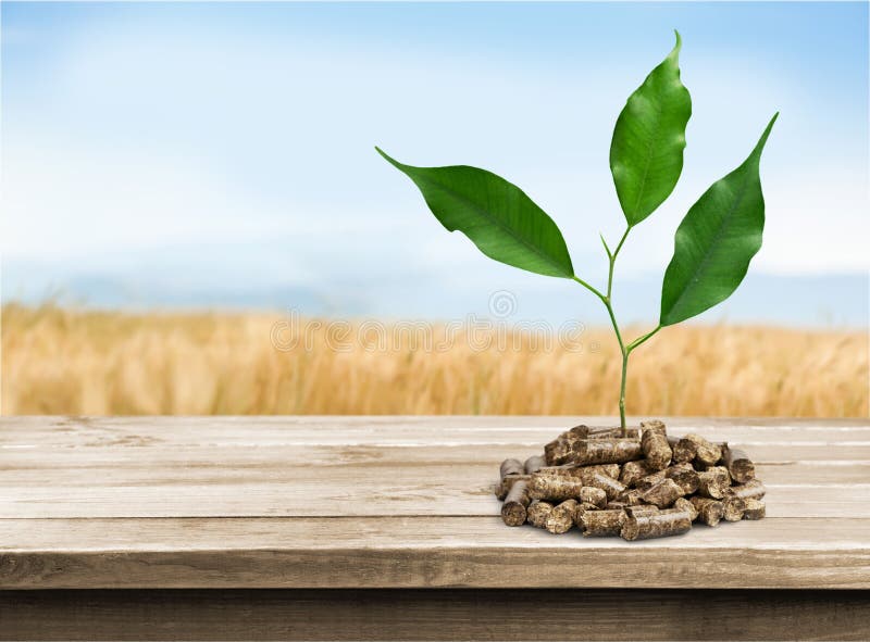 biomass obrazy stock biomass obrazy stock