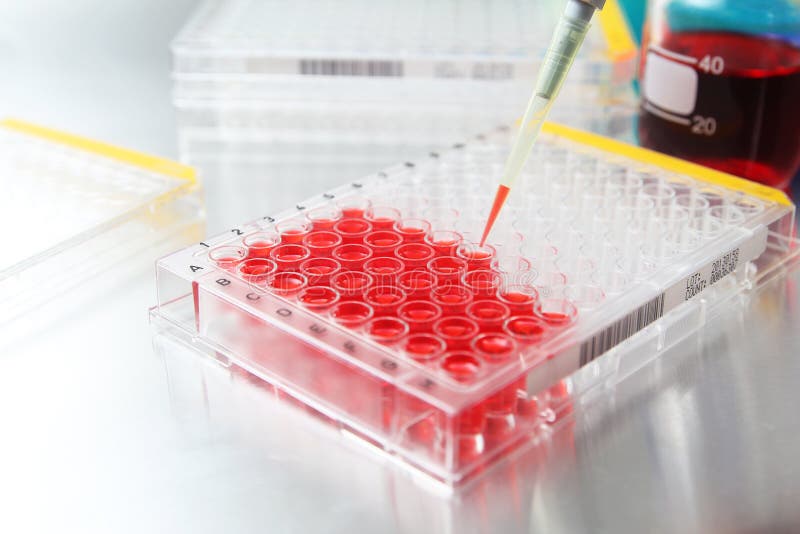 Sample being loaded into well plate for analysis in lab. Sample being loaded into well plate for analysis in lab