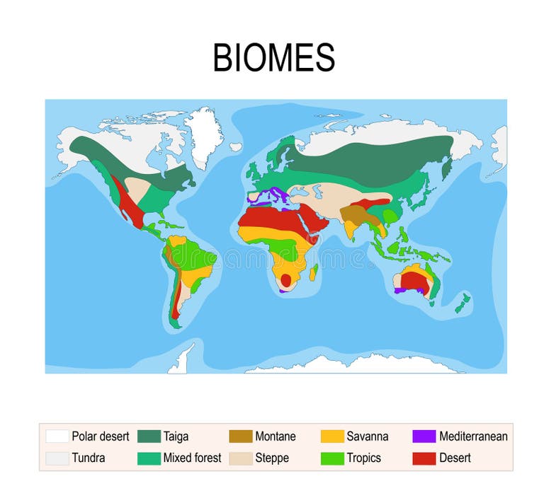 Ecosystem Biome Desert Stock Illustrations – 85 Ecosystem Biome Desert
