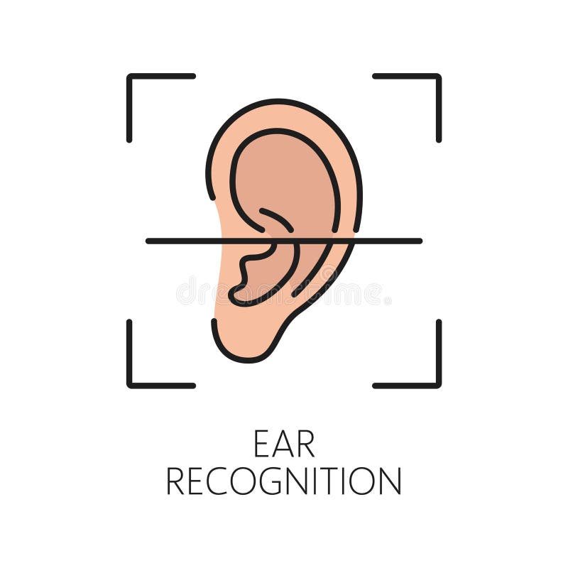 Biometric identification, ear recognition icon. Biometric identification, ear recognition or verification icon. ID biometric verification, signature security technology or identity recognition color thin line vector symbol or icon with human ear