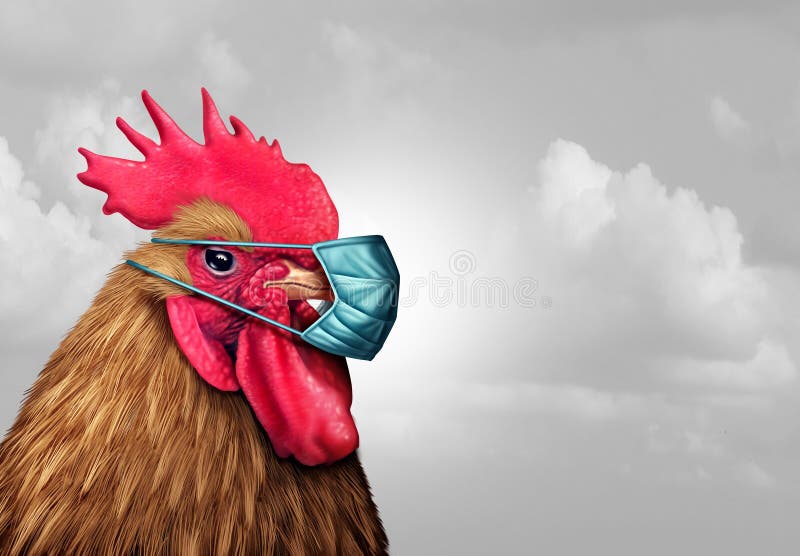 biosecurity-concept-quarantine-biohazard-danger-as-chicken-germ-surgical-mask-health-care-infectious-disease-idea-d-127602262.jpg