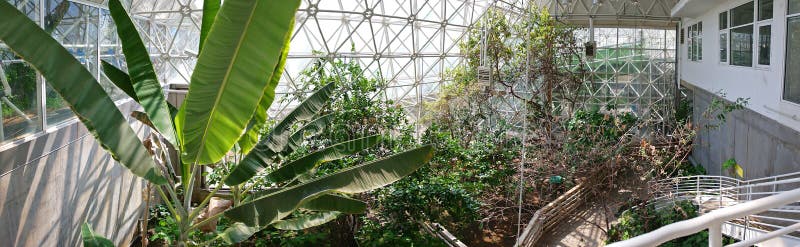 BioSphere 2 - Interior Vegetation