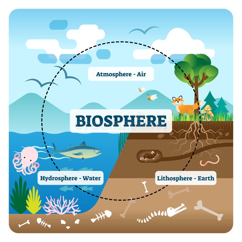 Hydrosphere Biosphere Stock Illustrations – 166 Hydrosphere