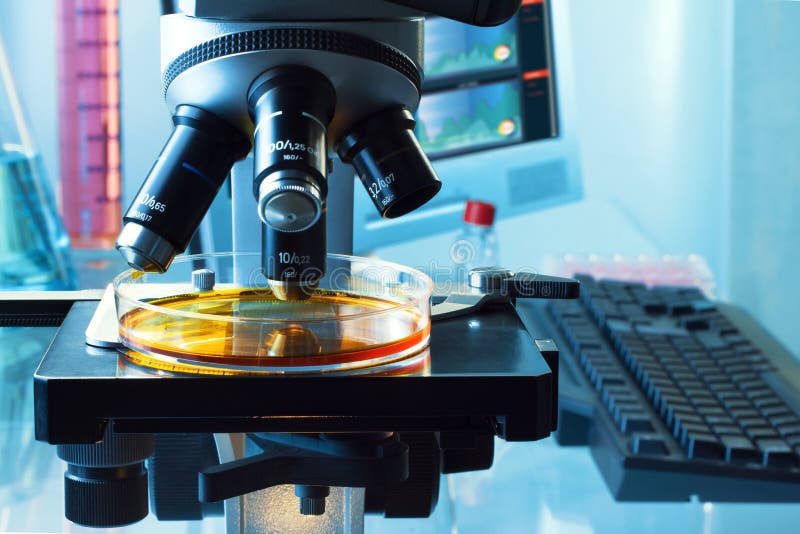 Biotechnologii laboratorium z mikroskopem analizuje talerza