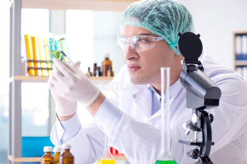 The Biotechnology Concept with Scientist in Lab Stock Image Image of