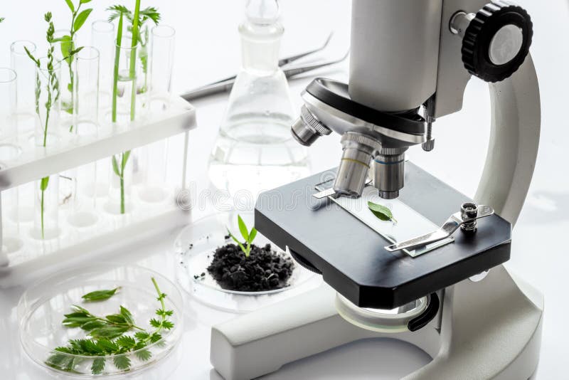 Biotechnology Laboratory with Plants and Microscope on Table. Stock Image -  Image of leaf, nature: 199030743