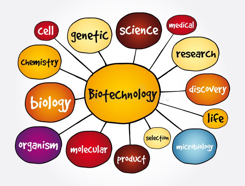 Biotechnology Mind Map, Concept for Presentations and Reports Stock