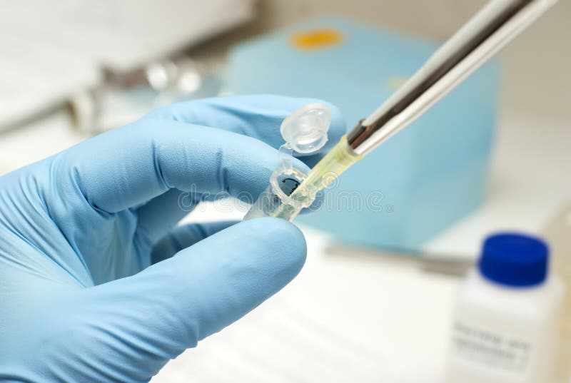 Biotechnology research royalty free stock images