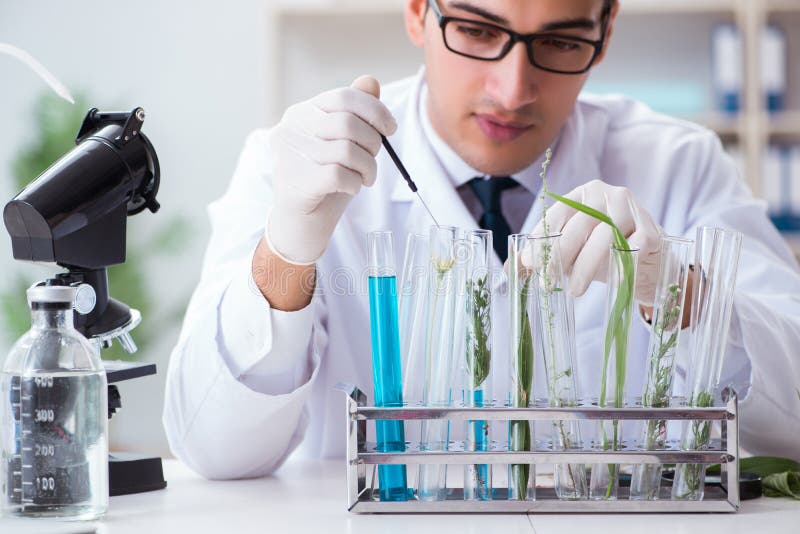 The Biotechnology Scientist Chemist Working in Lab Stock Photo Image