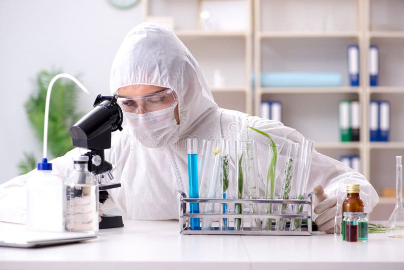 The Biotechnology Scientist Chemist Working in Lab Stock Image Image