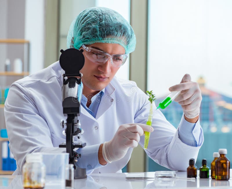 Biotechnology Scientist Working in the Lab Stock Image Image of flask