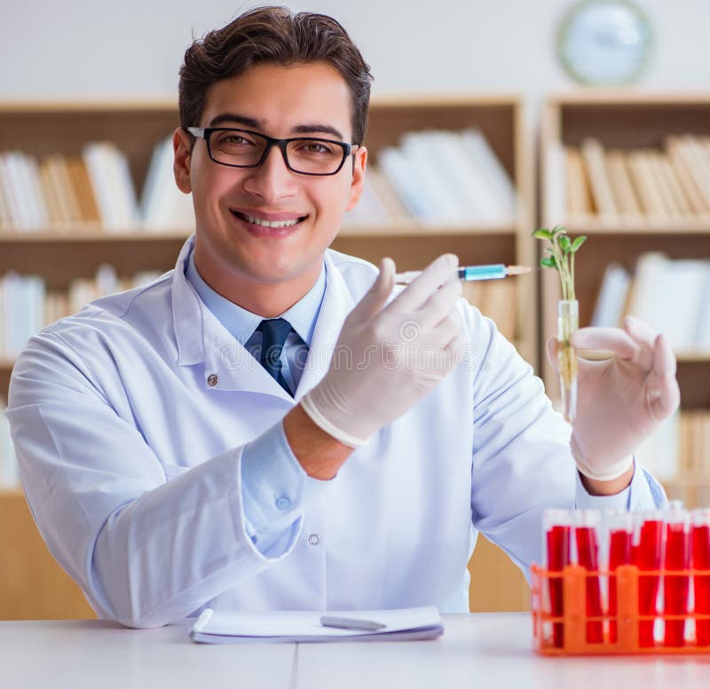 Biotechnology Scientist Working in the Lab Stock Photo Image of