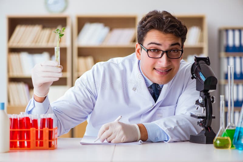 The Biotechnology Scientist Working in the Lab Stock Photo Image of