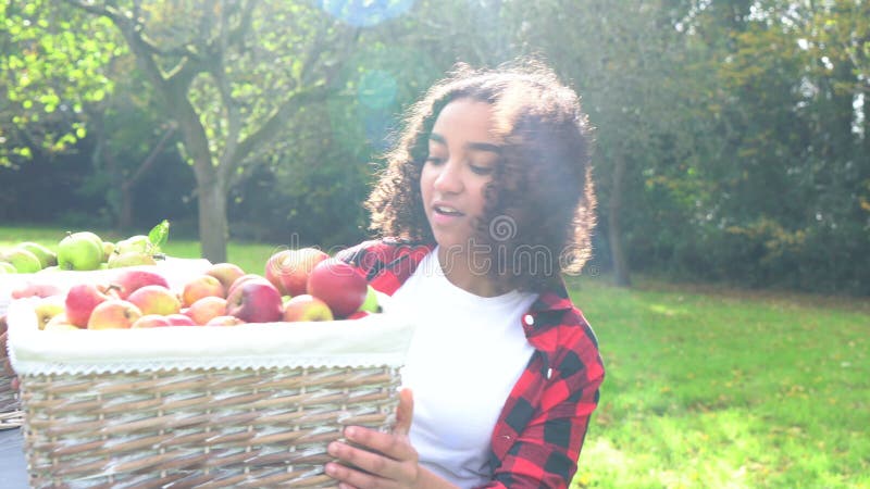 Biracial korg för ung kvinna för tonårs- flicka för blandat lopp för afrikansk amerikan bärande av äpplen stock video
