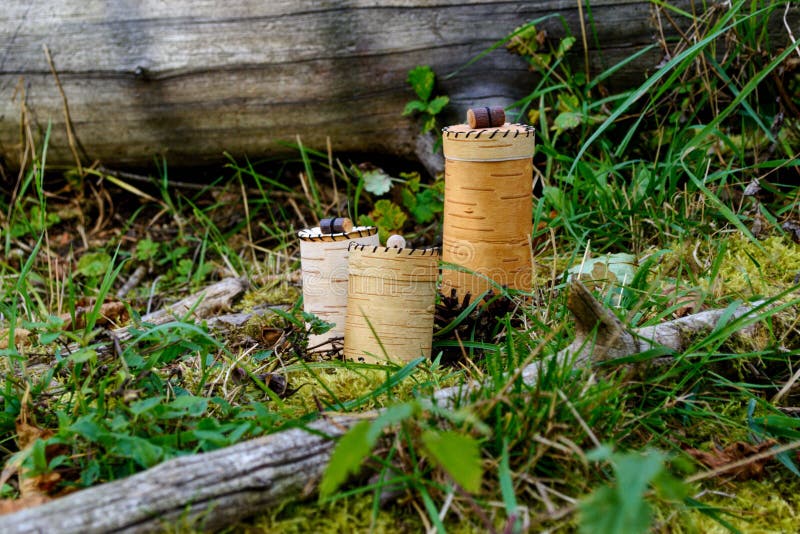 Birch bark berry baskets stock image. Image of yard 209156277