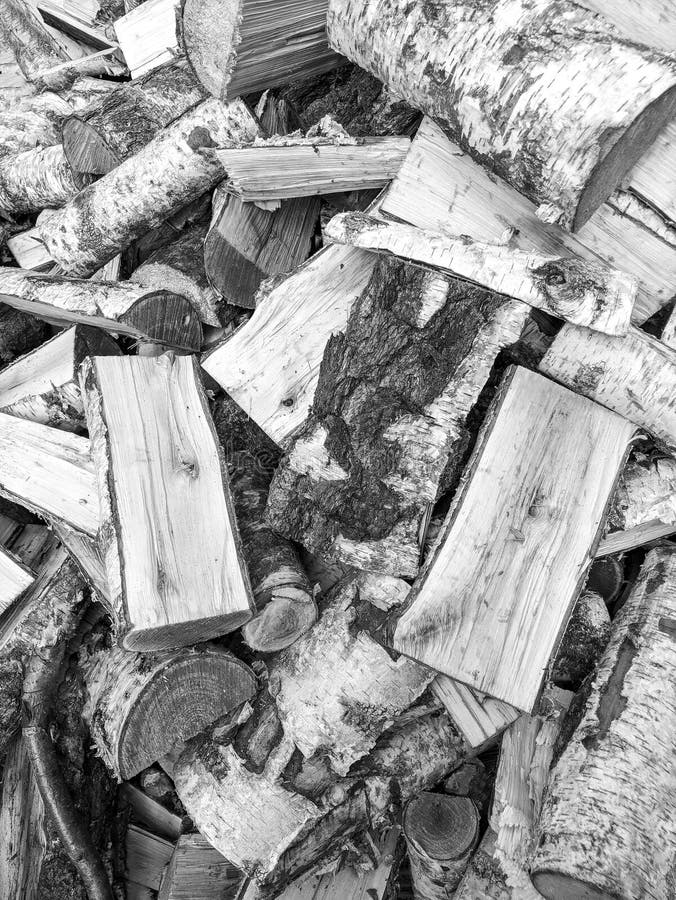 Birch - black and white wallpaper, vertical royalty free stock photos