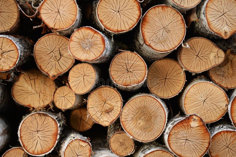 Birch firewood background