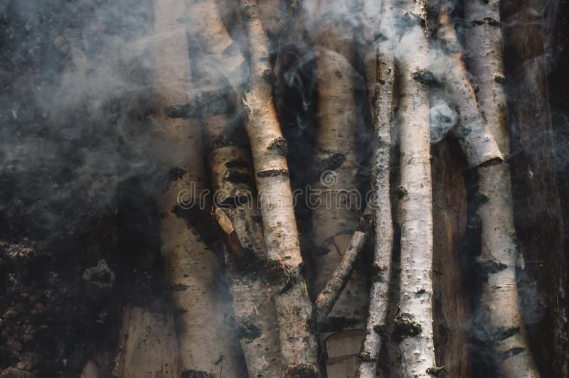 Birch Firewood Slowly Light Up and Smoke. Stock Photo Image of