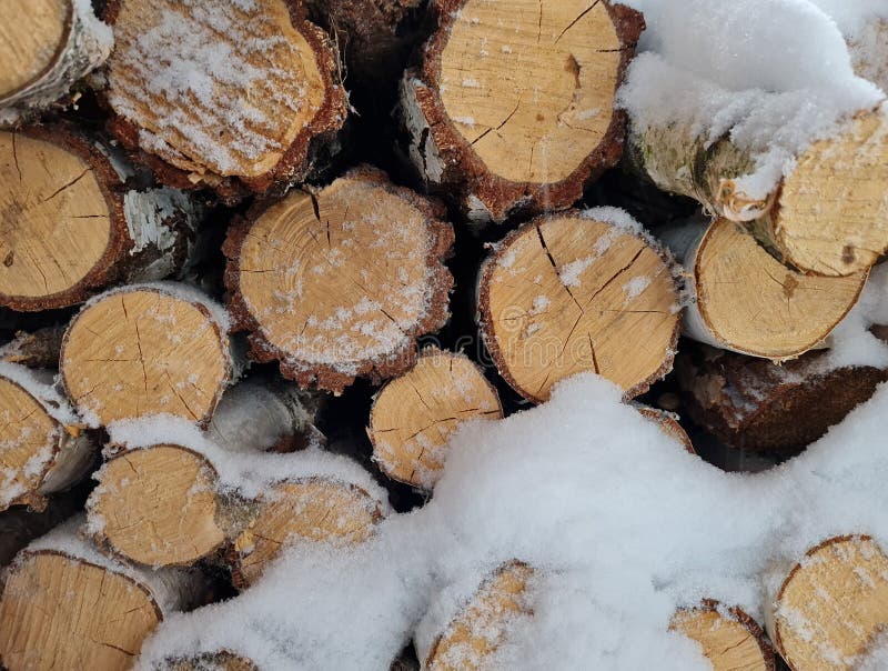 Birch firewood. Winter stock photo. Image of baking 260004076