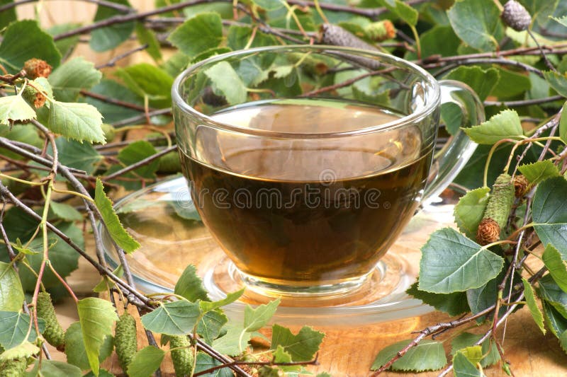 Birch leaf tea stock image. Image of glass, healthy, leaf 14553335