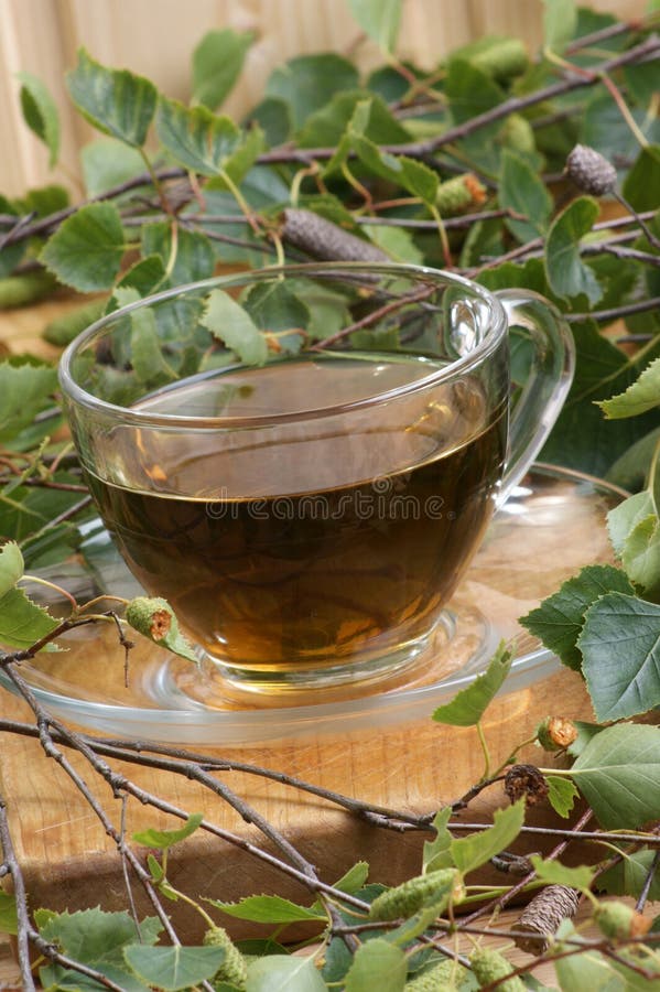 Birch leaf tea royalty free stock photography