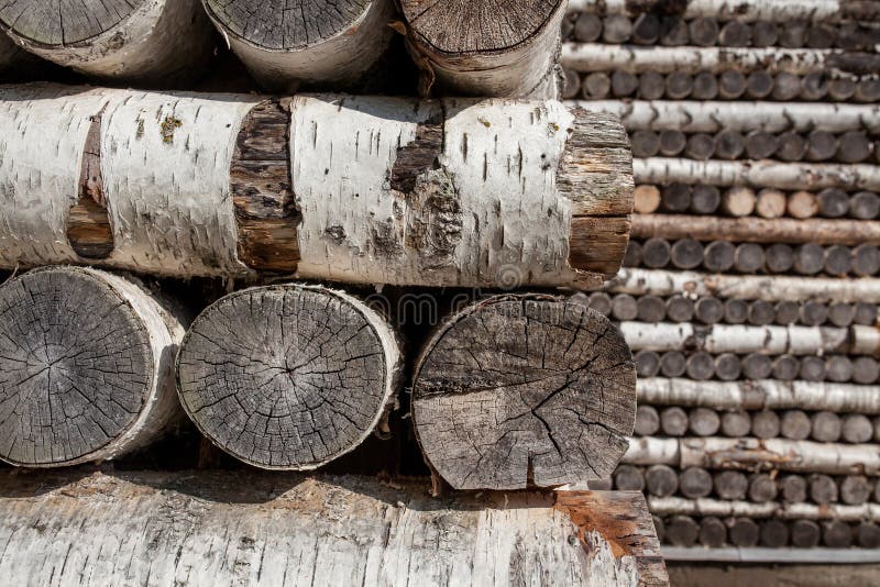 Birch logs stock image. Image of rough, building, natural 178239377