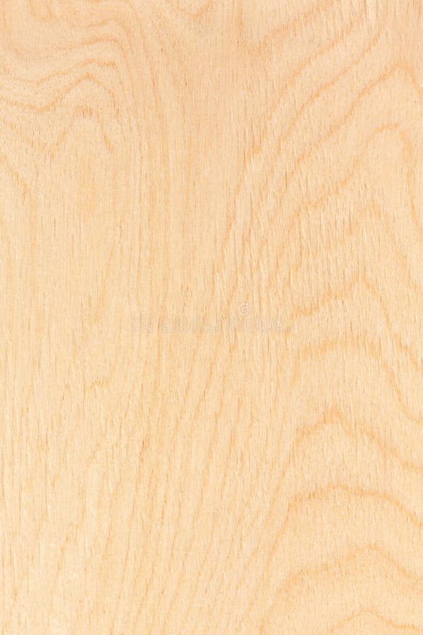 Birch plywood texture stock photo. Image of closeup, grained 34352660