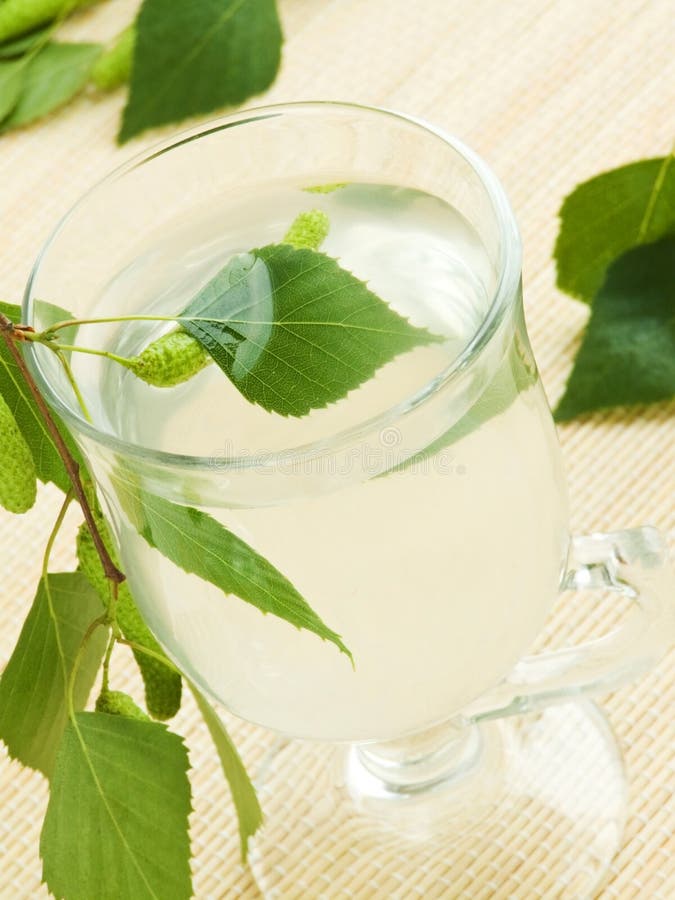 Birch sap stock photo. Image of siberia, spring, collect 9237686